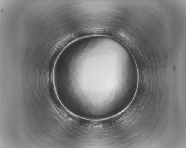 X0000060750640200511141200