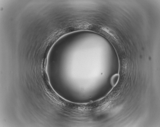 X0000060750641200511141200