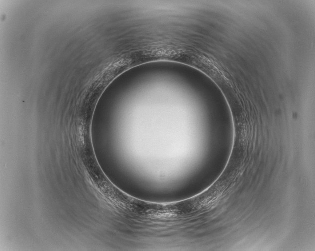 X0000060750643200511141200