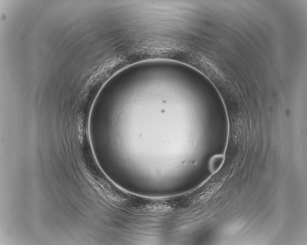 X0000060750644200511141200