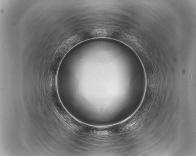 X0000060750645200511141200