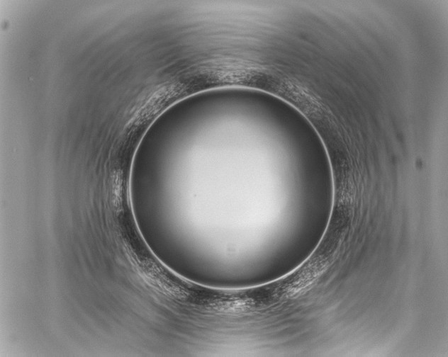 X0000060750646200511141200