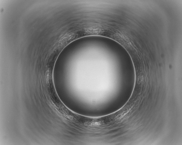 X0000060750647200511141200