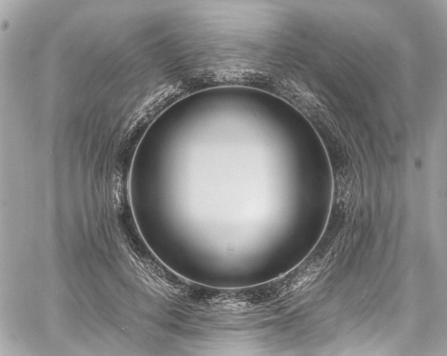 X0000060750648200511141200