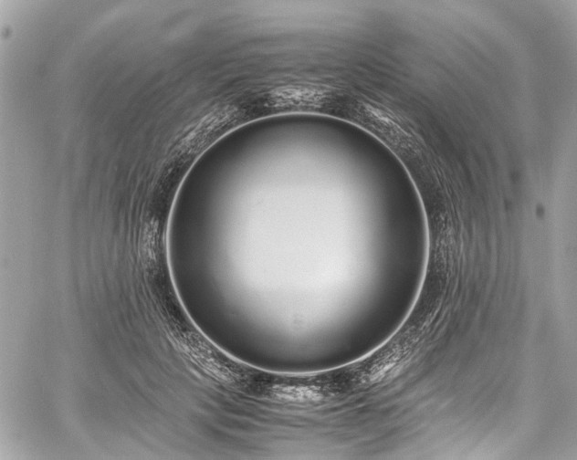 X0000060750649200511141200