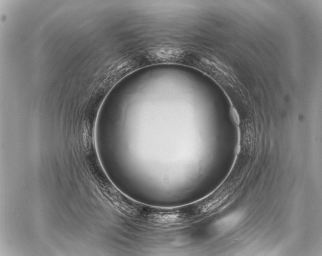 X0000060750651200511141200