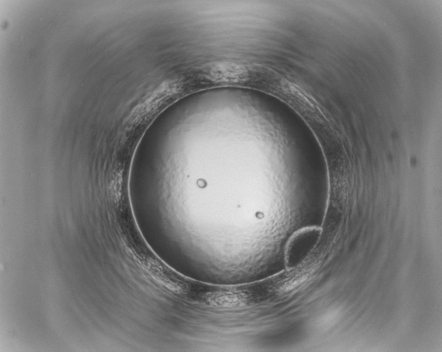 X0000060750652200511141200