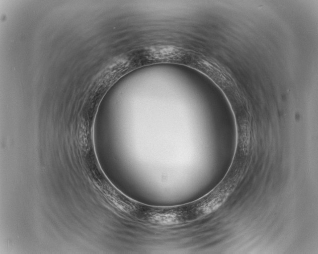 X0000060750653200511141200