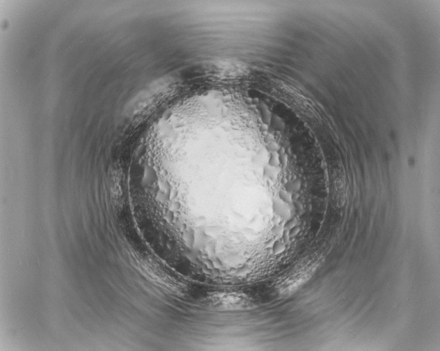 X0000060750654200511141200