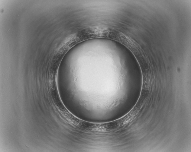 X0000060750656200511141200