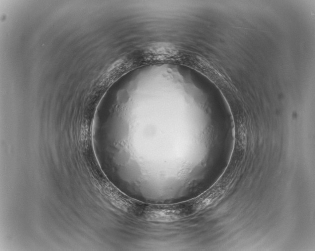 X0000060750657200511141200