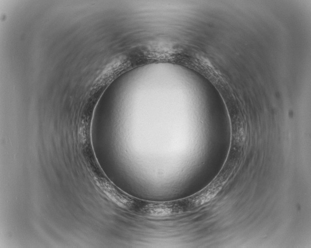 X0000060750658200511141200