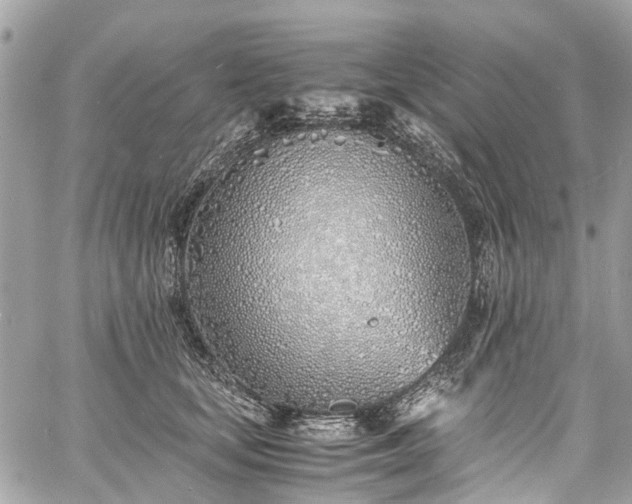 X0000060750659200511141200