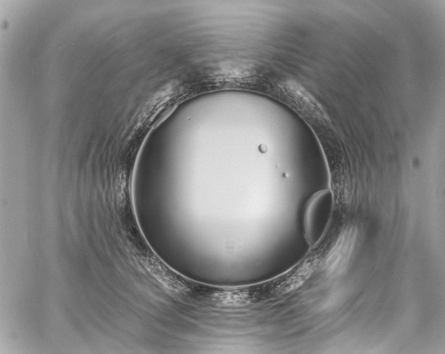 X0000060750660200511141200