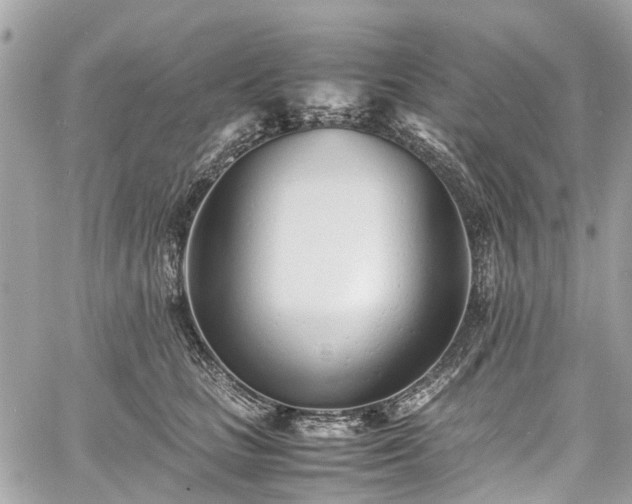 X0000060750661200511141200