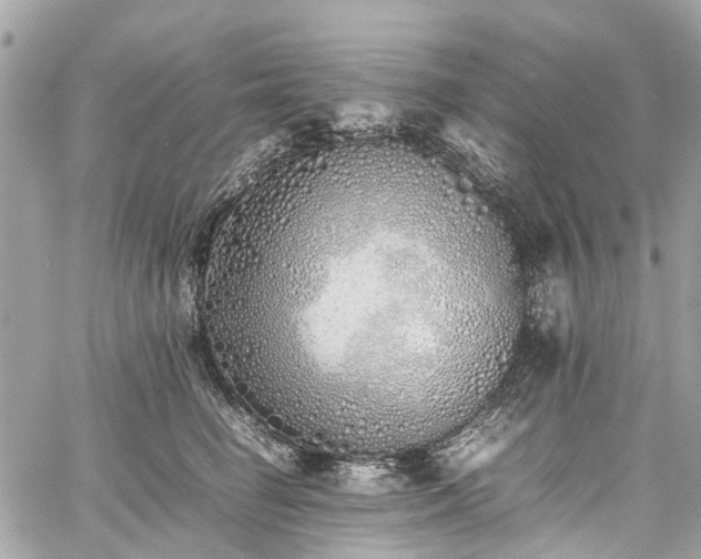 X0000060750662200511141200