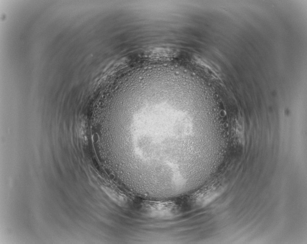 X0000060750663200511141200