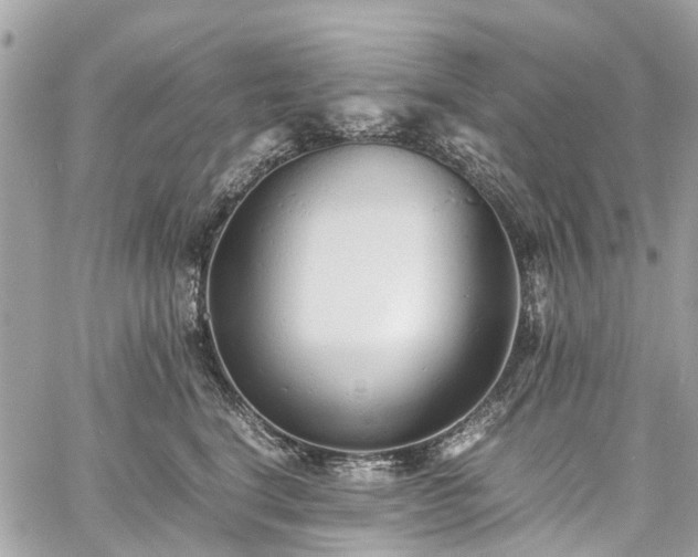 X0000060750664200511141200