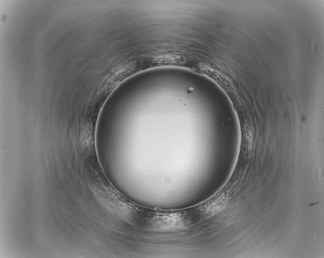 X0000060750665200511141200