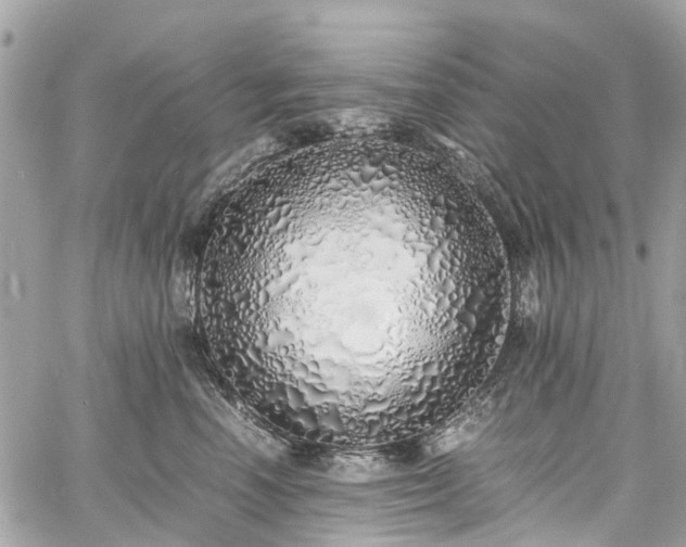 X0000060750666200511141200