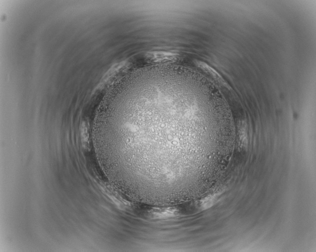 X0000060750667200511141200