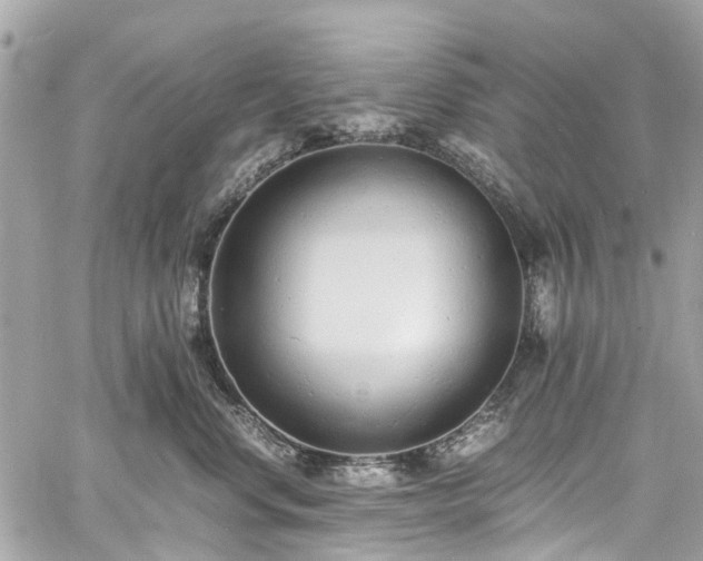 X0000060750668200511141200