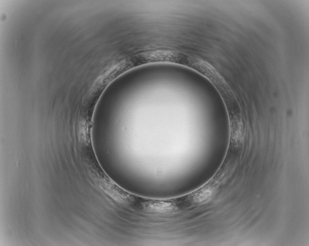 X0000060750669200511141200