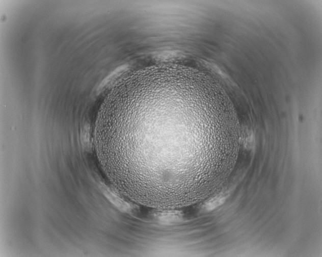 X0000060750670200511141200