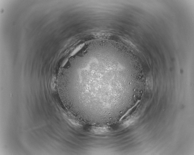 X0000060750671200511141200