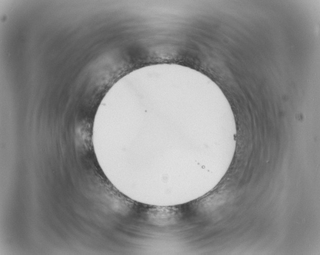 X0000060750672200511141200