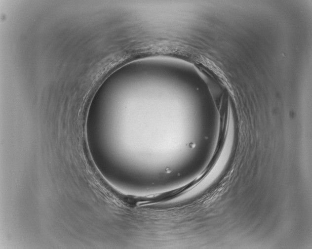 X0000060750673200511141159