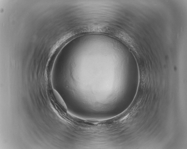 X0000060750674200511141159