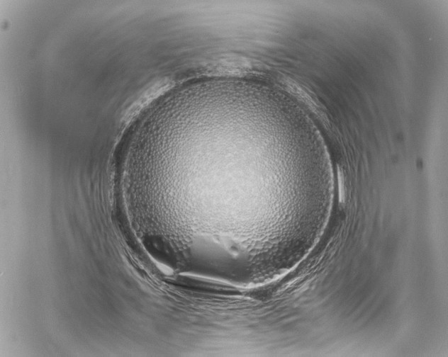 X0000060750675200511141159