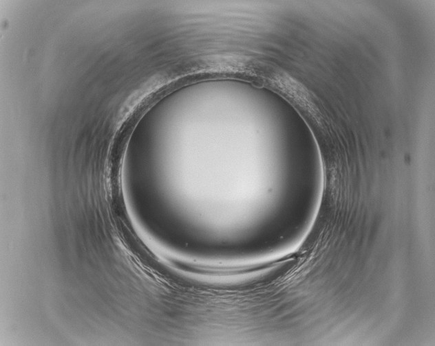 X0000060750676200511141159