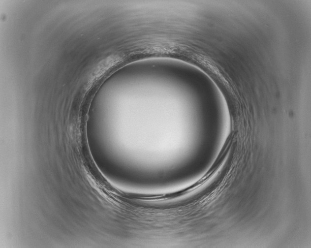 X0000060750677200511141159