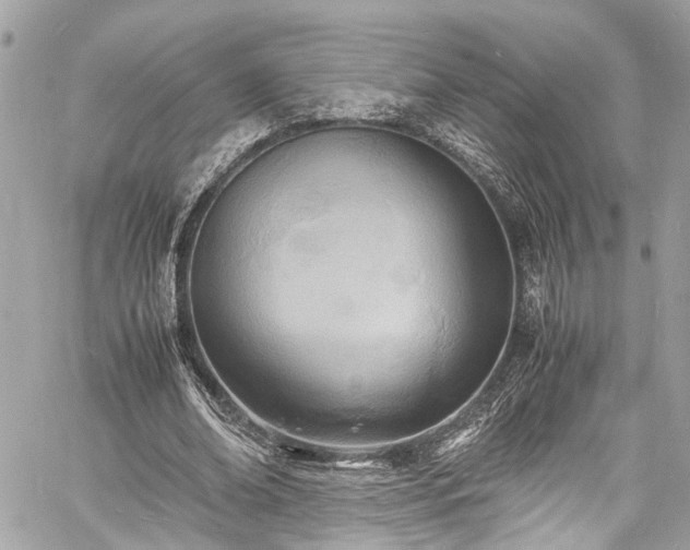 X0000060750678200511141159