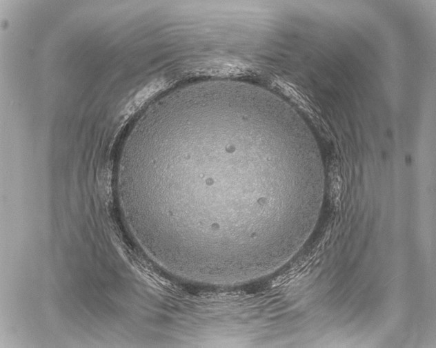 X0000060750679200511141159