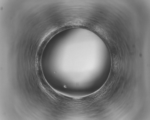 X0000060750680200511141159