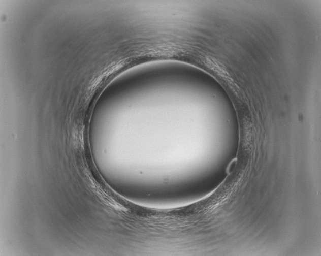 X0000060750681200511141159