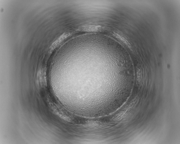 X0000060750682200511141159