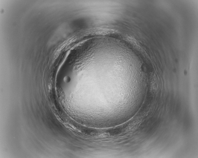 X0000060750683200511141159