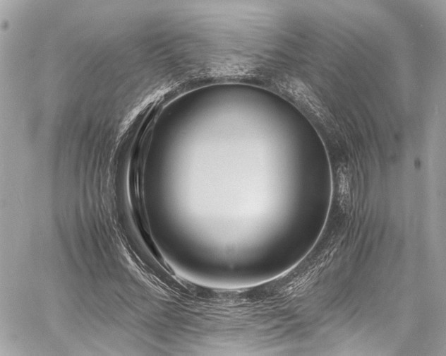 X0000060750684200511141159