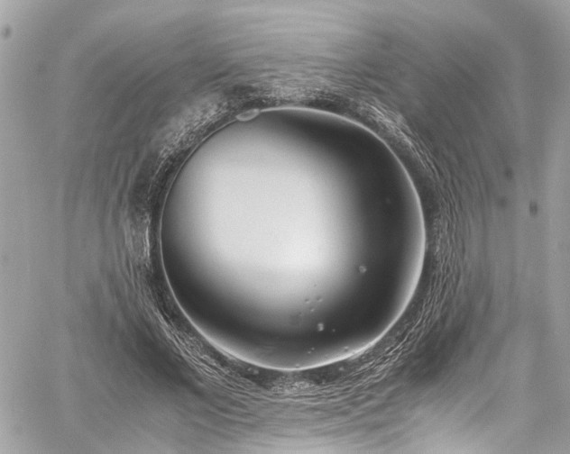 X0000060750685200511141159