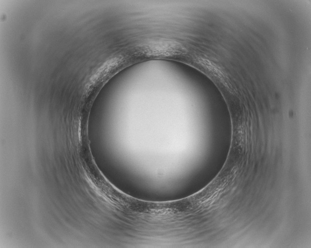 X0000060750686200511141159