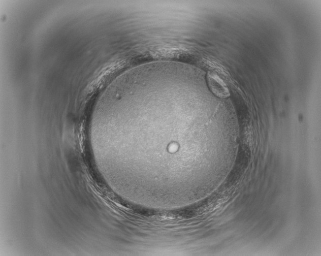 X0000060750687200511141159