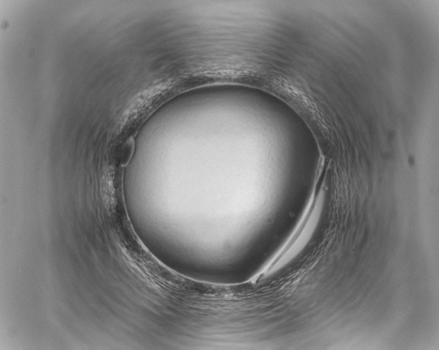 X0000060750688200511141159