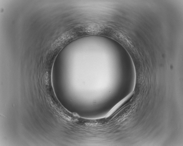 X0000060750689200511141159