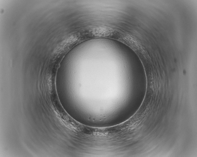 X0000060750690200511141159