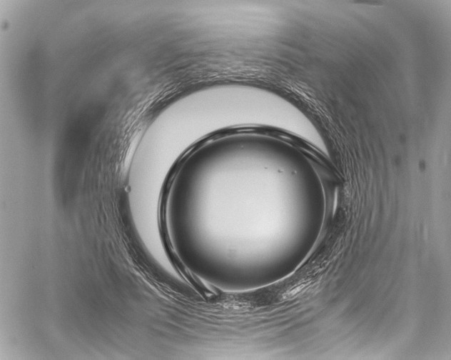 X0000060750691200511141159