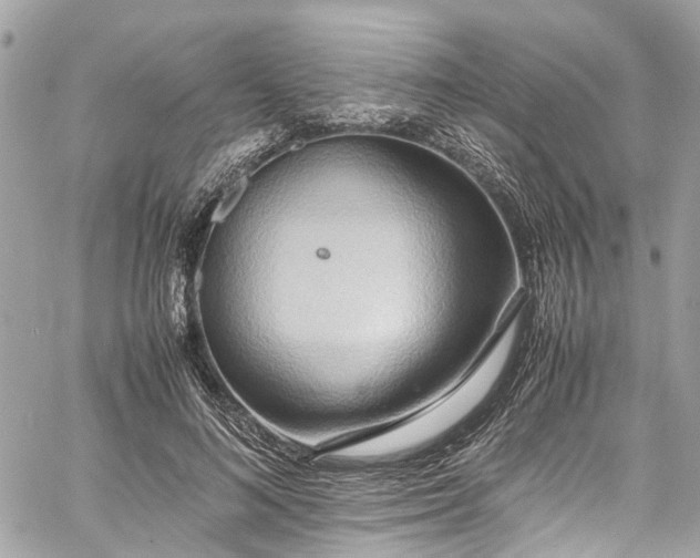 X0000060750692200511141159